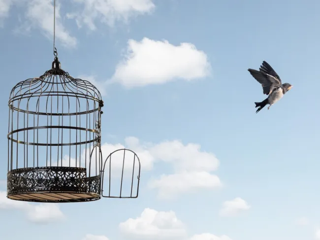 escape